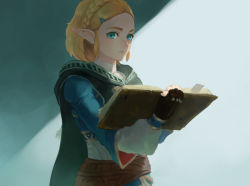 Rule 34 | 1girl, belt, blonde hair, blue eyes, book, braid, brown gloves, cape, closed mouth, commentary, english commentary, fingerless gloves, forehead, gloves, green cape, hair ornament, hairclip, holding, holding book, long sleeves, looking at viewer, na (oagenosuke), nintendo, open book, pointy ears, princess zelda, short hair, solo, the legend of zelda, the legend of zelda: breath of the wild, the legend of zelda: tears of the kingdom, upper body