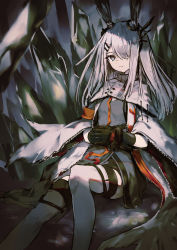 Rule 34 | 1girl, animal ears, arknights, black gloves, cloak, eyebrows hidden by hair, frostnova (arknights), gloves, grey eyes, grey hair, hair over one eye, highres, k futoshi 0n0, long hair, own hands together, rabbit ears, scar, scar on face, scar on nose, swept bangs, thighhighs