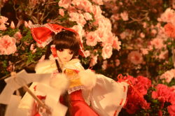 Rule 34 | 1girl, absurdres, ascot, bad id, bad pixiv id, blurry, bow, brown hair, cinnamon877, commentary request, depth of field, detached sleeves, doll, embellished costume, flower, flower request, frills, fur trim, gohei, hair bow, hair tubes, hakurei reimu, highres, hime cut, light smile, lips, long hair, looking at viewer, photo (medium), pom pom (clothes), realistic, red eyes, red skirt, ribbon-trimmed sleeves, ribbon trim, skirt, solo, touhou, upper body