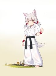 Rule 34 | 1girl, absurdres, animal ear fluff, animal ears, arm up, barefoot, belt, black belt, bright pupils, chinese commentary, clenched hand, commentary request, dougi, full body, grey hair, highres, kuma-bound, low twintails, martial arts belt, medium hair, mushroom, on grass, original, pants, solo, standing, tail, toes, twintails, white pants, white pupils, yellow eyes