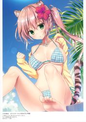 Rule 34 | 1girl, absurdres, animal ear fluff, animal ears, aqua bikini, bare shoulders, barefoot, bikini, blue sky, breasts, breasts apart, cloud, collarbone, day, feet, flower, green eyes, hair flower, hair ornament, halterneck, halterneck, hibiscus, highres, jacket, jewelry, knees up, leaf, long hair, long sleeves, looking at viewer, medium breasts, necklace, off shoulder, open clothes, open jacket, original, outdoors, parted lips, pink hair, plaid, plaid bikini, ryouka (suzuya), scan, side-tie bikini bottom, side ponytail, sidelocks, sitting, sky, solo, swimsuit, tail, thighs, tiger ears, tiger tail, yellow jacket