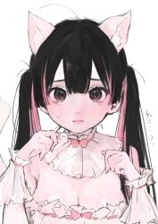 Rule 34 | 1girl, animal ear fluff, animal ears, armpit crease, black hair, blush, bow, breasts, brown eyes, cat ears, cleavage, closed mouth, collar, dress, embarrassed, frilled collar, frilled dress, frilled sleeves, frills, furrowed brow, hair between eyes, highres, iq033, large breasts, long hair, looking at viewer, maid, multicolored hair, original, paw pose, pink bow, pink hair, shiny skin, simple background, solo, sweatdrop, tearing up, twintails, upper body, white background