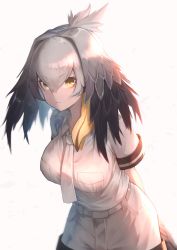 Rule 34 | 1girl, absurdres, akuma (st.takuma), arms behind back, bare arms, belt, bird tail, black hair, breast pocket, breasts, closed mouth, collared shirt, grey hair, grey necktie, grey shirt, grey shorts, hair between eyes, hair intakes, highres, kemono friends, large breasts, leaning forward, light smile, long hair, looking at viewer, multicolored hair, necktie, orange hair, pocket, shirt, shoebill (kemono friends), short sleeves, shorts, sidelocks, solo, tail, taut clothes, taut shirt, upper body, wing collar, yellow eyes