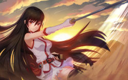 Rule 34 | 1girl, akame (akame ga kill!), akame ga kill!, black hair, black thighhighs, breasts, closed mouth, dusk, elbow gloves, floating hair, frown, gloves, hair between eyes, highres, holding, holding sword, holding weapon, lisong shen, long hair, looking at viewer, medium breasts, miniskirt, outdoors, panties, pantyshot, pleated skirt, red eyes, shirt, skirt, sleeveless, sleeveless shirt, solo, straight hair, sword, thighhighs, underwear, very long hair, weapon, white gloves, white panties, white shirt, white skirt