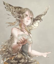 Rule 34 | 1girl, :o, animal, animal on shoulder, bad id, bad pixiv id, bare shoulders, beak, bird, bird on shoulder, braid, breasts, brown hair, bustier, collarbone, dress, feather hair, feathered wings, feathers, grey background, hair between eyes, hawk, highres, mizutame tori, nail polish, original, parted lips, short hair, simple background, small breasts, solo, transformation, upper body, winged arms, wings, yellow eyes