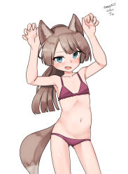 Rule 34 | 1girl, absurdres, animal ears, blush, bra, brown hair, claw pose, fang, feet out of frame, flat chest, fox ears, fox tail, gluteal fold, grey eyes, highres, kantai collection, kazagumo (kancolle), long hair, maru (marg0613), navel, panties, paw pose, ponytail, purple bra, purple panties, simple background, solo, tail, underwear, underwear only, white background
