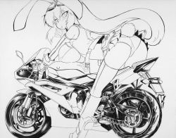 Rule 34 | 1girl, animal ears, ass, belt, bent over, blush, boots, breast rest, breasts, covered erect nipples, female focus, goggles, goggles on head, greyscale, knee boots, large breasts, long hair, monochrome, motor vehicle, motorcycle, mouth hold, okiraku nikku, panties, pantyshot, rabbit ears, rabbit girl, rabbit tail, reisen udongein inaba, revealing clothes, shikishi, solo, tail, touhou, traditional media, underwear, upskirt, vehicle, very long hair