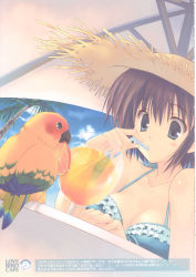 Rule 34 | 1girl, beach, bird, breasts, cleavage, day, drink, hat, highres, medium breasts, mitsumi misato, parrot, solo, straw hat, umbrella