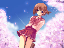 Rule 34 | 00s, 1girl, arms behind back, bag, blue eyes, blue sky, blush, bow, breasts, briefcase, brown hair, cherry blossoms, circle name, cloud, contrail, cowboy shot, day, female focus, folded ponytail, from below, game cg, grin, hair between eyes, hair ornament, happy, holding, komaki manaka, kyogoku shin, long sleeves, looking at viewer, milestone celebration, miniskirt, mitsumi misato, outdoors, petals, pleated skirt, pocket, red skirt, school bag, school uniform, serafuku, short hair, skirt, sky, small breasts, smile, solo, standing, thank you, to heart (series), to heart 2, tree, wallpaper