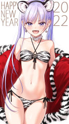 Rule 34 | 1girl, 2022, animal ears, animal print, bare shoulders, bell, belt collar, bikini, blue hair, blush, breasts, chinese zodiac, collar, commentary request, cowboy shot, earrings, fake animal ears, fangs, fur trim, hairband, halterneck, happy new year, highres, jewelry, jingle bell, jingle bell earrings, light blue hair, long hair, looking at viewer, lowleg, lowleg bikini, navel, new game!, new year, open mouth, purple eyes, sharp teeth, side-tie bikini bottom, sidelocks, simple background, small breasts, solo, standing, stomach, suzukaze aoba, swimsuit, tail, teeth, thigh gap, thighs, thong, tiger ears, tiger print, tiger tail, tokunou shoutarou, tongue, twintails, very long hair, white background, white collar, year of the tiger