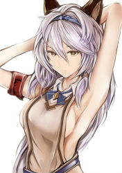 Rule 34 | 10s, 1girl, animal ears, armpits, arms behind head, bare shoulders, braid, breasts, cat ears, commentary request, contemporary, erune, granblue fantasy, hair between eyes, hair intakes, hair tubes, hairband, heles, kemonomimi mode, large breasts, long hair, looking at viewer, nannacy7, no bra, sideboob, silver hair, single braid, solo, upper body, very long hair, yellow eyes