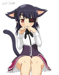 Rule 34 | 1girl, animal ears, artist name, cat ears, cat girl, cat tail, eyepatch, female focus, flat chest, high school dxd, highres, kuoh academy school uniform, legs, looking at viewer, mirai (senran kagura), red eyes, school uniform, senran kagura, signature, skirt, solo, soulkibble, tail, thick thighs, thighs, toujou koneko, white background