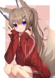 Rule 34 | 1girl, absurdres, animal ears, blush, brown hair, closed mouth, feet out of frame, fox ears, fox girl, fox tail, gym shirt, gym shorts, gym uniform, hair between eyes, hair ornament, hairclip, hands up, highres, hinata (user rjkt4745), jacket, long hair, long sleeves, looking at viewer, original, pinching sleeves, pink background, ponytail, purple eyes, red jacket, red shorts, shirt, short shorts, shorts, sleeves past wrists, smile, socks, solo, squatting, tail, track jacket, two-tone background, v, very long hair, white background, white shirt, white socks