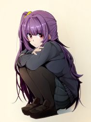 Rule 34 | 1girl, :/, beige background, black pantyhose, blunt bangs, cardigan, closed mouth, crossed arms, hair intakes, highres, kazenoko, legs together, loafers, long hair, looking at viewer, one side up, original, pantyhose, purple hair, red eyes, shoes, simple background, sleeves past wrists, solo, squatting