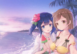 Rule 34 | 2girls, :d, beach, bikini, blue hair, blush, bow, breasts, brown hair, cleavage, cloud, coconut, coconut tree, collarbone, commentary request, emia wang, evening, flower, food, hair flower, hair ornament, hair ribbon, hibiscus, hiryuu (kancolle), holding, jewelry, kantai collection, large breasts, long hair, multiple girls, necklace, o-ring, o-ring bikini, ocean, open mouth, outdoors, palm tree, popsicle, puckered lips, red flower, ribbon, seashell, shell, shell necklace, short hair, side ponytail, sky, smile, souryuu (kancolle), star (sky), swimsuit, tree, twintails, water, watermelon bar