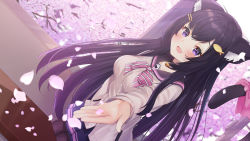 Rule 34 | 1girl, absurdres, animal ears, beige jacket, bell, black hair, blush, bow, breasts, cat ears, cat tail, cherry blossoms, collar, collarbone, commentary, fang, fish hair ornament, hair ornament, hairclip, highres, indoors, jacket, long hair, looking at viewer, medium breasts, nari (narikashi), neck bell, pantyhose, pink bow, purple skirt, reikira, reikira! (channel), school uniform, skin fang, skirt, solo, table, tail, tail bow, tail ornament, virtual youtuber