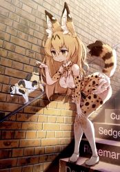 Rule 34 | 10s, 1girl, adapted costume, aged up, alternate hair length, alternate hairstyle, animal ears, animal print, bare shoulders, bent over, blonde hair, breasts, brick, closed mouth, eyebrows, eyelashes, facing away, full body, gloves, hair between eyes, hand on own knee, hand up, high-waist skirt, highres, index finger raised, kemono friends, knees together feet apart, kolshica, long hair, looking away, medium breasts, miniskirt, multicolored clothes, multicolored gloves, multicolored legwear, multicolored ribbon, neck ribbon, orange gloves, orange ribbon, orange skirt, orange thighhighs, ribbon, serval (kemono friends), serval print, serval tail, shadow, shirt, shoes, skirt, sleeveless, sleeveless shirt, smile, solo, stairs, standing, straight hair, striped tail, tail, tail raised, thighhighs, white footwear, white gloves, white ribbon, white shirt, white thighhighs, yellow eyes, yellow pupils, zettai ryouiki