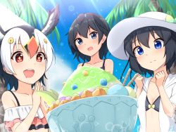 Rule 34 | + +, 3girls, :d, :o, atlantic puffin (kemono friends), bare shoulders, bikini, black bikini, black hair, blue eyes, bowl, clenched hands, collarbone, commentary request, day, food, fruit, hair between eyes, hands up, hat, head wings, highres, ice cream scoop, kemono friends, melon, melon slice, multicolored hair, multiple girls, open mouth, outdoors, own hands together, palm tree, parfait, red eyes, shiraha maru, shirt, short hair, smile, sun hat, sunlight, superb bird-of-paradise (kemono friends), swimsuit, tree, western parotia (kemono friends), white hair, white shirt, wings
