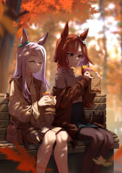 Rule 34 | 2girls, alternate costume, animal ears, aqua bow, autumn leaves, bag, bench, black pantyhose, bow, braid, braided ponytail, brown bag, brown eyes, brown hair, brown jacket, brown skirt, brown vest, collared shirt, commentary request, ear bow, eating, falling leaves, food, glasses, handbag, highres, holding, holding food, horse ears, horse girl, ikuno dictus (umamusume), jacket, jacket partially removed, leaf, long hair, long sleeves, mejiro mcqueen (umamusume), multicolored hair, multiple girls, on bench, open clothes, open mouth, open vest, outdoors, pantyhose, purple hair, ribbed sweater, roasted sweet potato, round eyewear, shirt, sinnra art, sitting, skirt, streaked hair, sweater, sweet potato, turtleneck, turtleneck sweater, umamusume, vest, white hair, wooden bench