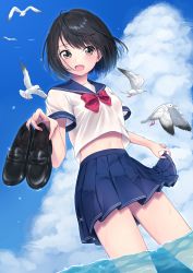 Rule 34 | 1girl, absurdres, animal, bird, black footwear, black hair, blouse, blue sailor collar, blue skirt, blue sky, blush, bow, bowtie, breasts, brown eyes, cloud, commentary request, cowboy shot, day, dutch angle, fang, highres, holding, holding shoes, legs apart, looking at viewer, open mouth, original, outdoors, pleated skirt, red bow, red bowtie, sailor collar, school uniform, seagull, serafuku, shirt, shoes, unworn shoes, short sleeves, skirt, skirt hold, sky, small breasts, smile, solo, standing, umeno (shio1205), wading, water, wet, white shirt, wind