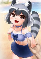 Rule 34 | 1girl, alternate costume, animal ear fluff, animal ears, beach, bikini, black eyes, black hair, breasts, choker, collarbone, common raccoon (kemono friends), cowboy shot, day, fang, frilled bikini, frills, grey hair, hand on own chest, hands up, happy, highres, holding hands, japari symbol, kemono friends, leaning forward, medium breasts, medium hair, multicolored hair, navel, ocean, open mouth, outdoors, parted bangs, pleated skirt, pov, pov hands, raccoon ears, raccoon girl, raccoon tail, sand, skirt, smile, solo focus, stomach, swimsuit, tail, water, white hair, yonkuron