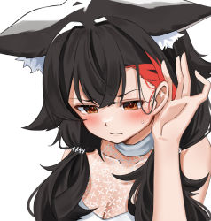 Rule 34 | 1girl, animal ear fluff, animal ears, black hair, blush, brown eyes, closed mouth, daichi (daichi catcat), hair behind ear, hair over shoulder, highres, hololive, long hair, looking away, multicolored hair, ookami mio, ookami mio (street), portrait, red hair, see-through, simple background, solo, streaked hair, virtual youtuber, white background, wolf ears
