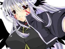 Rule 34 | 00s, 1girl, facial mark, jacket, lyrical nanoha, magical girl, mahou shoujo lyrical nanoha, mahou shoujo lyrical nanoha a&#039;s, mahou shoujo lyrical nanoha strikers, open clothes, open jacket, red eyes, reinforce, silver hair, solo, winged hair ornament, wings, yu yu