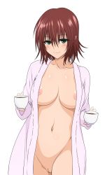 Rule 34 | 10s, 1girl, areola slip, breasts, brown hair, cleft of venus, coffee, extraction, green eyes, highres, large breasts, mikado ryouko, nipples, nude filter, open clothes, open shirt, pussy, shirt, short hair, third-party edit, to love-ru, to love-ru darkness, uncensored