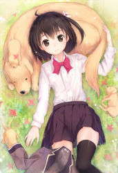 Rule 34 | 1girl, ahoge, black eyes, black hair, black thighhighs, blush, bow, breasts, dog, dress shirt, grass, highres, looking at viewer, lying, on back, original, puppy, school uniform, shirt, shouin, side ponytail, skirt, small breasts, smile, solo, tail, tail wagging, thighhighs, white shirt
