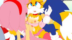 Rule 34 | amy rose, bisexual male, sonic (series), sonic the hedgehog, tails (sonic), tcprod