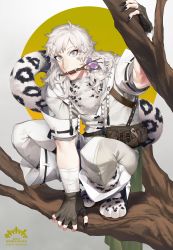 Rule 34 | 1boy, absurdres, animal hands, black gloves, black nails, copyright name, fangs, fingerless gloves, flower, gloves, grey eyes, highres, huge filesize, in tree, leopard tail, long hair, looking at viewer, male focus, mouth hold, nail polish, pixiv fantasia, pixiv fantasia age of starlight, rekezild, sandals, shirakanba miki, solo, tail, tree, white hair