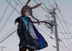 Rule 34 | 1girl, absurdres, amiya (arknights), animal ears, arknights, artist name, black pantyhose, blue eyes, blue skirt, blush, brown hair, closed mouth, cloud, cloudy sky, expressionless, highres, ku-ini, long hair, looking at viewer, outdoors, pantyhose, power lines, rabbit girl, skirt, sky, solo