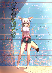 Rule 34 | 1girl, absurdres, alternate costume, animal ears, arms behind back, bare arms, bare legs, bare shoulders, barefoot, bead bracelet, beads, belt, blonde hair, bracelet, brown hair, casual, closed mouth, clothes around waist, commentary request, contemporary, denim, denim shorts, extra ears, fennec (kemono friends), fox ears, fox tail, full body, highres, jewelry, kemono friends, looking at viewer, mafty, medium hair, multicolored hair, pink shirt, plant, pocket, shirt, shorts, sleeveless, sleeveless shirt, smile, solo, standing, sweater, sweater around waist, tail, toes, two-tone hair, vines, wall, white hair