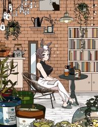 Rule 34 | 1girl, alternate costume, animal ears, book, bookshelf, bowl, bread, breasts, brown hair, candle, cat, chair, character name, closed mouth, food, full-length mirror, hanging light, hanging plant, highres, horse ears, indoors, jar, kettle, large breasts, light bulb, looking at viewer, mejiro ryan (umamusume), mirror, multicolored hair, open book, pants, pitcher (container), plant, potted plant, shirt, sitting, sleeveless, sleeveless shirt, slippers, smile, solo, suya (jzup2735), table, turtleneck, two-tone hair, umamusume, watering can, white hair, white pants