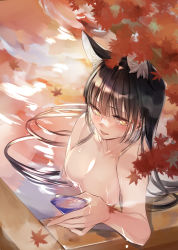 Rule 34 | 1girl, absurdres, animal ear fluff, animal ears, autumn leaves, black hair, blush, breasts, cup, fox ears, fox girl, hair between eyes, highres, holding, holding cup, large breasts, leaf, long hair, looking at viewer, maple leaf, nude, onsen, open mouth, original, sidelocks, smile, solo, tail, wet, yellow eyes, yukibuster z