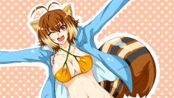 Rule 34 | 1girl, animal ears, antenna hair, bikini, bikini top only, blazblue, blue jacket, breasts, brown eyes, brown hair, chukachuka, cleavage, highres, jacket, large breasts, looking at viewer, makoto nanaya, multicolored hair, navel, one eye closed, open mouth, orange bikini, outstretched arms, solo, squirrel ears, squirrel tail, swimsuit, tail, two-tone hair