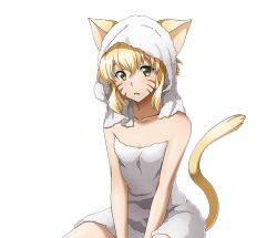 Rule 34 | 1girl, animal ears, argo the rat, between legs, blonde hair, breasts, cat ears, cat tail, cleavage, collarbone, facial mark, green eyes, hand between legs, long hair, naked towel, open mouth, shiny skin, short hair with long locks, sidelocks, sitting, small breasts, solo, sword art online, tail, towel, towel on head, transparent background, whisker markings, white towel