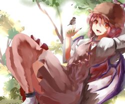 Rule 34 | 1girl, animal ears, bird, dress, fang, female focus, forest, hizagawa rau, looking at viewer, mystia lorelei, nail polish, nature, open mouth, pink hair, red eyes, short hair, solo, sparrow, thighhighs, touhou, wings