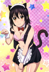 Rule 34 | 1girl, absurdres, animal ears, apron, black hair, black jacket, black skirt, blush, body blush, bow, bowtie, bra, breasts, brown eyes, cat ears, cat tail, choker, cleavage, collar, collarbone, cowboy shot, cropped jacket, detached collar, frilled apron, frills, furukawa hideki, hair between eyes, heart, highres, himeragi yukina, jacket, looking at viewer, magazine scan, maid headdress, medium breasts, megami magazine, midriff, miniskirt, navel, official art, open clothes, open jacket, parted lips, patterned background, paw pose, pink lips, red bow, red bowtie, scan, shiny skin, short hair, skirt, skirt tug, sleeveless, sleeveless jacket, smile, solo, standing, star (symbol), starry background, stomach, strapless, strapless bra, strike the blood, striped bra, striped clothes, tail, teeth, underwear, vertical-striped bra, vertical-striped clothes, waist apron, white apron, white collar, white frills, white wrist cuffs, wrist cuffs