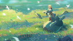 Rule 34 | absurdres, bird, blue eyes, blue tunic, boots, fence, grass, guardian (zelda), highres, leather, leather boots, light brown hair, link, meadow, nature, nintendo, scenery, short ponytail, sidelocks, sword, the legend of zelda, the legend of zelda: breath of the wild, weapon, weapon on back, white bird, wide shot, x.x.d.x.c