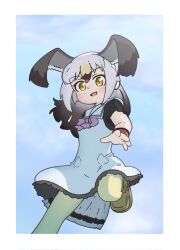 Rule 34 | 1girl, bird girl, bird tail, bird wings, black-tailed gull (kemono friends), black dress, black hair, blonde hair, blush, bow, bowtie, commentary request, dress, frilled dress, frills, hair between eyes, head wings, highres, kemono friends, long hair, looking at viewer, multicolored hair, pantyhose, pink bow, pink bowtie, red hair, sailor dress, short sleeves, solo, sorairo meronpan, tail, two-tone dress, white dress, white hair, wings, yellow eyes, yellow pantyhose