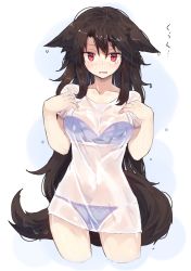 Rule 34 | 1girl, alternate costume, animal ears, bad id, bad nicoseiga id, black hair, blue bra, blue panties, blush, bra, breasts, commentary request, cowboy shot, embarrassed, floppy ears, hair between eyes, highres, imaizumi kagerou, large breasts, long hair, looking at viewer, nose blush, panties, parted lips, red eyes, see-through, shirt, short sleeves, solo, suminagashi, t-shirt, tail, touhou, underwear, very long hair, wet, wet clothes, wet shirt, white shirt, wolf ears, wolf tail