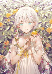 Rule 34 | 1girl, aqua eyes, bare shoulders, braid, choker, detached sleeves, dress, dsmile, eyebrows, flat chest, flower, food, frilled dress, frills, fruit, hair ornament, hair vines, hairclip, henna, holding, holding flower, leaf, long hair, looking at viewer, low twintails, nail polish, original, plant, revision, ribbon, rose, side braid, solo, strapless, strapless dress, twintails, upper body, vines, white dress, white hair, wrist ribbon, yellow flower, yellow nails, yellow ribbon, yellow rose