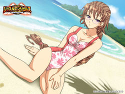 Rule 34 | 00s, 1girl, 2006, beach, braid, breasts, brown hair, cleavage, day, dutch angle, french braid, glasses, half updo, hoshina yuuki, long hair, one-piece swimsuit, outdoors, purple eyes, sitting, solo, swimsuit, water, wrestle angels, wrestle angels survivor