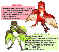 Rule 34 | 2girls, animal ears, apple (bachikin), bachikin (kingyo155), bird ears, bird legs, bird tail, brown feathers, brown hair, brown wings, cat ears, claws, commentary request, extra ears, feathered wings, feathers, food-themed creature, green feathers, green wings, hair over one eye, harpy, highres, kiwi (bachikin), monster girl, multiple girls, neck fur, original, red eyes, red feathers, red hair, red wings, short hair, simple background, tail, talons, translation request, two-tone wings, white background, winged arms, wings