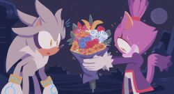 Rule 34 | 1boy, 1girl, blaze the cat, blush, commentary, flower, furry, furry female, furry male, gabs sam, gloves, hetero, looking down, presenting, silver the hedgehog, sonic (series), sweat, symbol-only commentary, tail, white gloves, yellow eyes