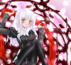 Rule 34 | 00s, 1girl, caren hortensia, crotch seam, fate/hollow ataraxia, fate/stay night, fate (series), layered sleeves, pantyhose, solo, white hair