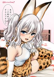 Rule 34 | 10s, 1girl, animal ears, bare shoulders, blue eyes, blush, breasts, cat ears, cat tail, cosplay, fake animal ears, gloves, kantai collection, kashima (kancolle), kemono friends, kuro abamu, looking at viewer, serval (kemono friends), serval (kemono friends) (cosplay), serval tail, silver hair, solo, sweatdrop, tail, teeth, thighhighs