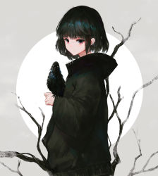 Rule 34 | 1girl, absurdres, animal, bare tree, bird, black hair, black jacket, blush, closed mouth, commentary request, crow, ear piercing, grey background, highres, jacket, kisei2, long sleeves, looking at viewer, looking to the side, original, piercing, red eyes, short hair, sleeves past wrists, solo, tree, two-tone background, white background