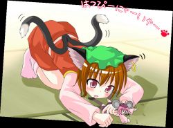 Rule 34 | 2girls, animal ears, brown hair, cat ears, cat girl, cat tail, chen, des (namaasi), earrings, fang, female focus, hat, jewelry, mouse ears, mouse tail, multiple girls, multiple tails, mystia lorelei, new year, purple eyes, short hair, tail, touhou, translation request